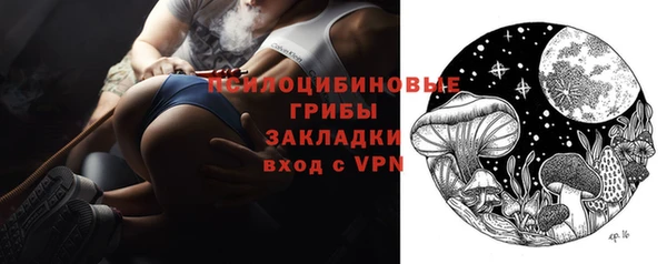 таблы Бородино