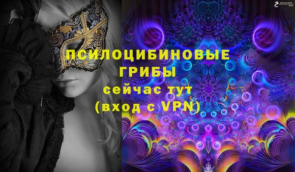 соль ск Бугульма